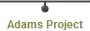 Adams Project