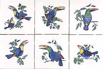 Tropical Bird Series